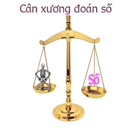 Xem cân xương tính số có chính xác hay không?